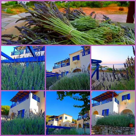 Evangelia House Sea View Appartamento *
